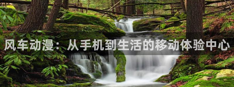 omofun电脑网页版：风车动漫：从手机到生活的移动体验中心