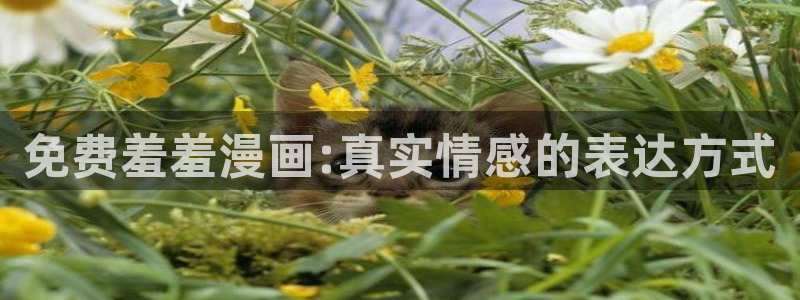 omofun动漫官网在线观看：免费羞羞漫画:真实情感的表达方式