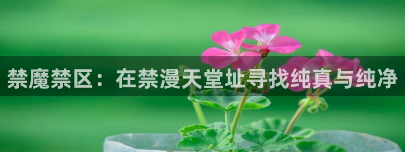 omofuns：禁魔禁区：在禁漫天堂址寻找纯真与纯净