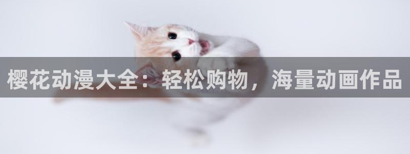 动漫天堂正版入口下载：樱花动漫大全：轻松购物，海量动画作品