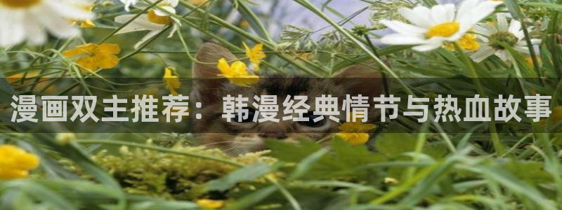 omofun一个：漫画双主推荐：韩漫经典情节与热血故事