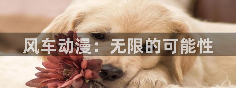 omofun动漫app下载：风车动漫：无限的可能性