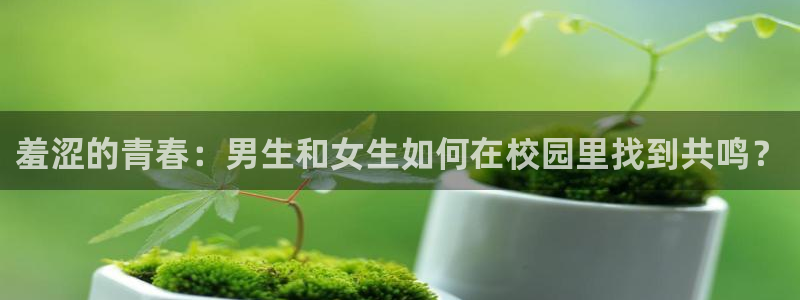 omofun永久发布页：羞涩的青春：男生和女生如何在校园里找到共鸣？