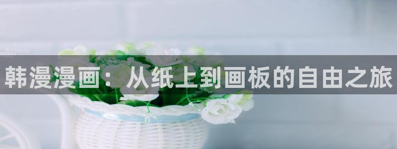 omofun专注动漫的网站：韩漫漫画：从纸上到画板的自由之旅