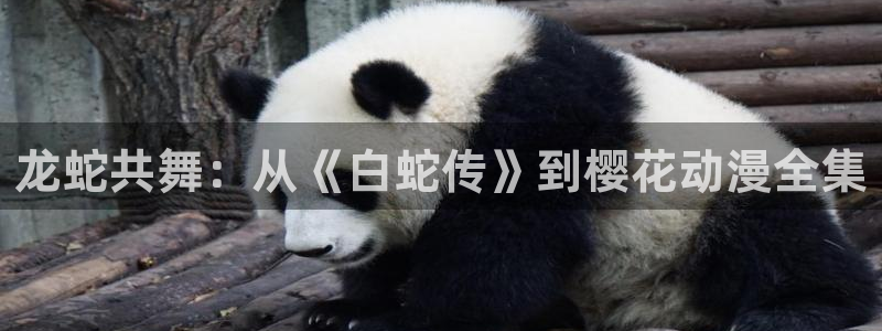 omofun在线观看：龙蛇共舞：从《白蛇传》到樱花动漫全集