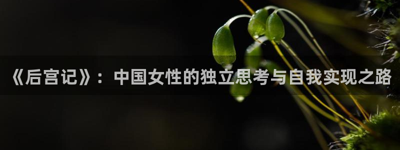 omofun动漫动漫：《后宫记》：中国女性的独立思考与自我实现之路