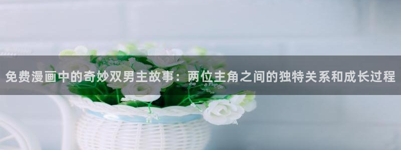 动漫天堂网页版：免费漫画中的奇妙双男主故事：两位主角之间的独特关系和成长过程