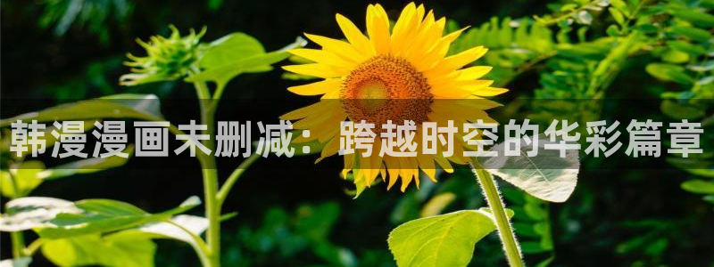 omofun..com：韩漫漫画未删减：跨越时空的华彩篇章