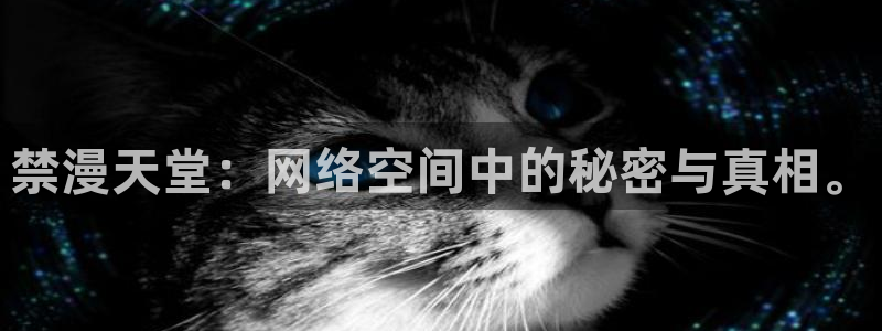 omofun苹果版安装包：禁漫天堂：网络空间中的秘密与真相。