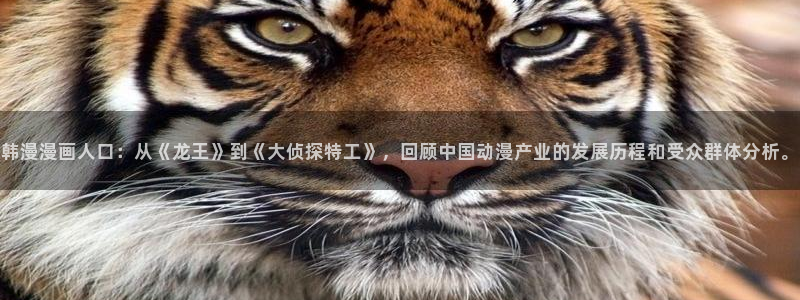 omofun动漫共和国：韩漫漫画人口：从《龙王》到《大侦探特工》，回顾中国动漫产业的发展历程和受众群体分析。